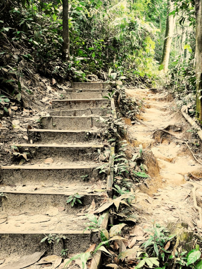 Gasing Hill The Best Place For Hiking In Kuala Lumpur