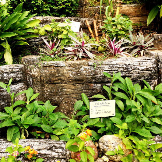 the herbal garden 