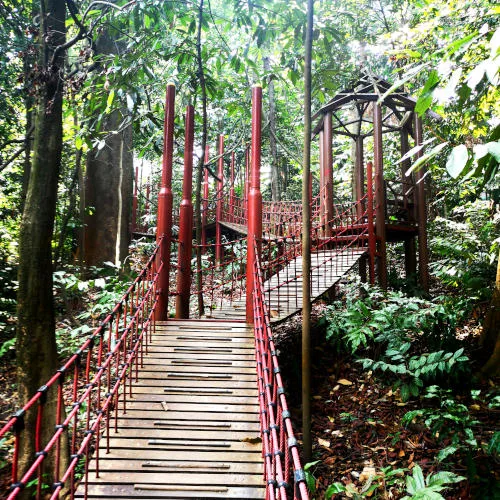 The hanging bridge in the Eco Park