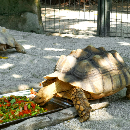 Pet Village, Sunway Lagoon