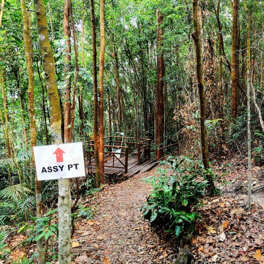 Tanjung 'Tuan - Trail leading to the beach 