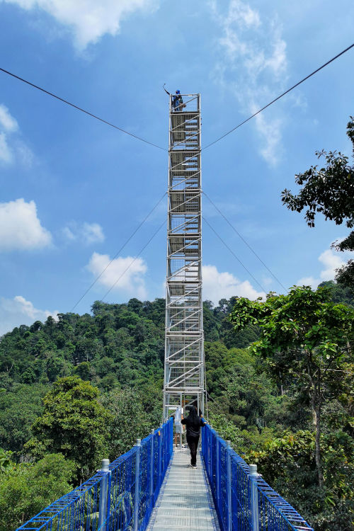 The highest tower at the Skywalk, Kepong Botanical Garden