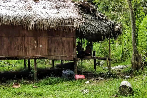 Typical house of the aboriginal people