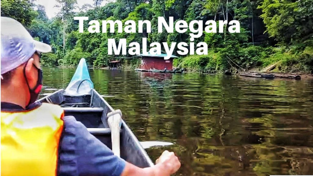 Taman Negara featured image