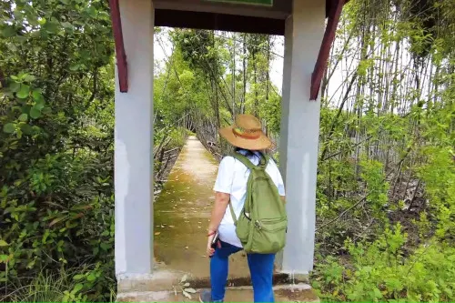 Kuala Selangor Nature Park 