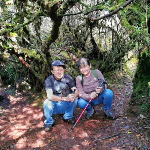 Coral Hill moss on trail