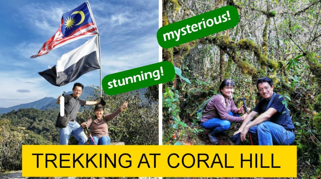 coral hill featured image