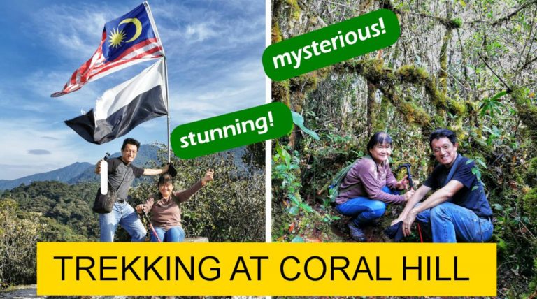 coral hill featured image