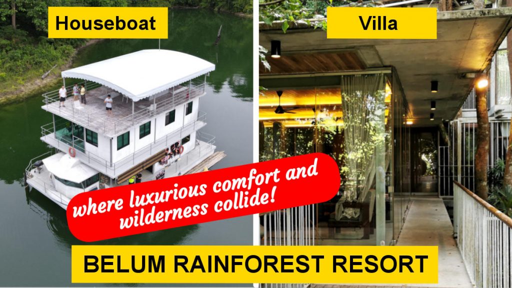 Belum rainforest resort feature image