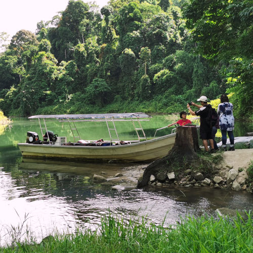 Sungai Kooi return