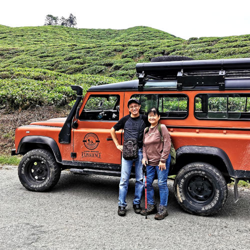 BOH tea plantation - Cameron highlands attractions