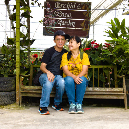 Cameron highlands attractions, orchid and rose garden