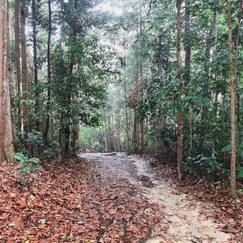 Hike in the rain 