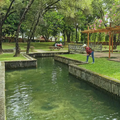 Maze pond