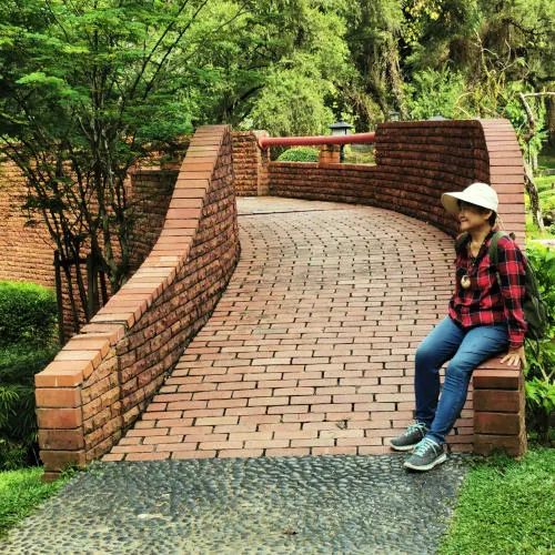 bridge at Koi Pond