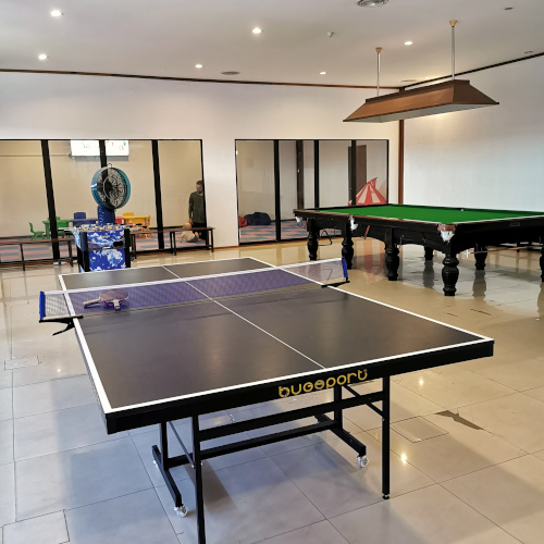 table tennis at the game room