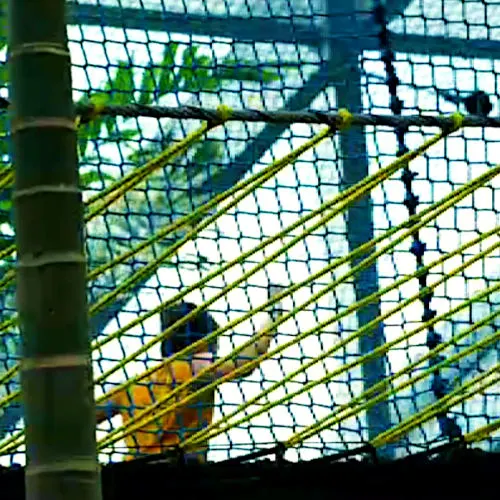 Bouncing net at Jewel Changi Airport