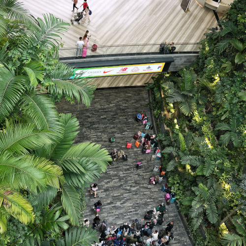 Canopy walk look down 2, Jewel Changi Airport