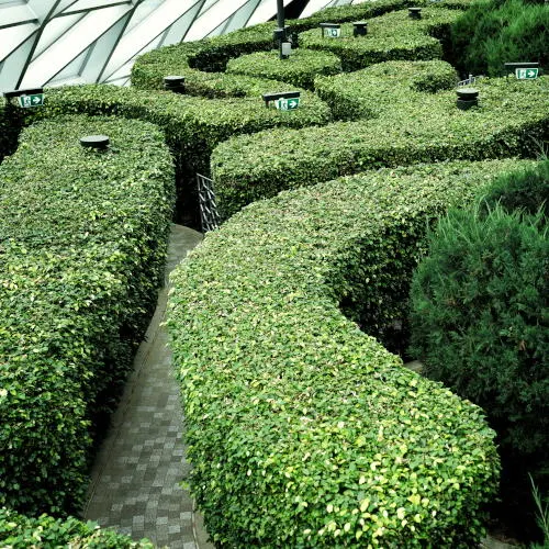 Hedge Maze 2, Jewel Changi Airport