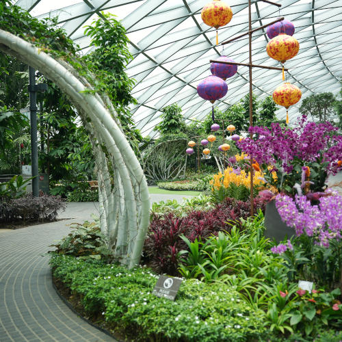 Petal Garden 1, Jewel Changi Airport