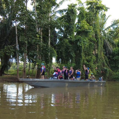 river cruise kinabatangan