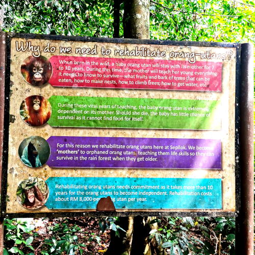 Sepilok Orangutan Rehabilitation Center signboard