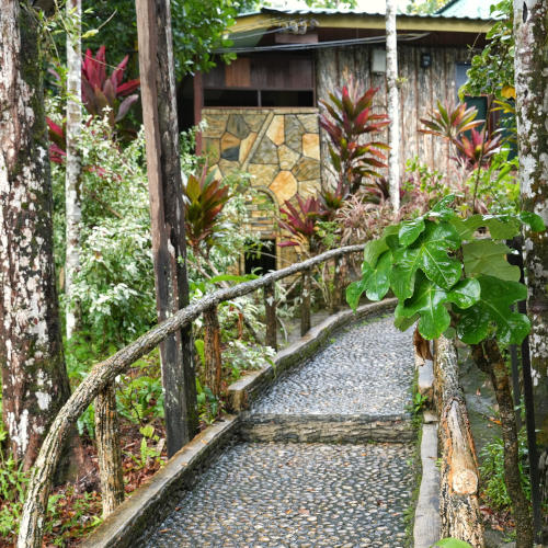 Sepilok Jungle Resort (16) garden 3