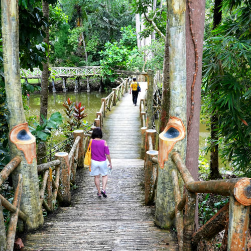 Sepilok Jungle Resort (5) walk on bridge
