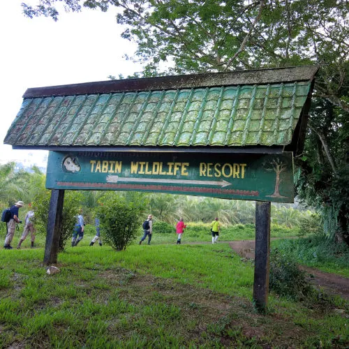 Tabin Wildlife Reserve- The Best Borneo Safari Experience