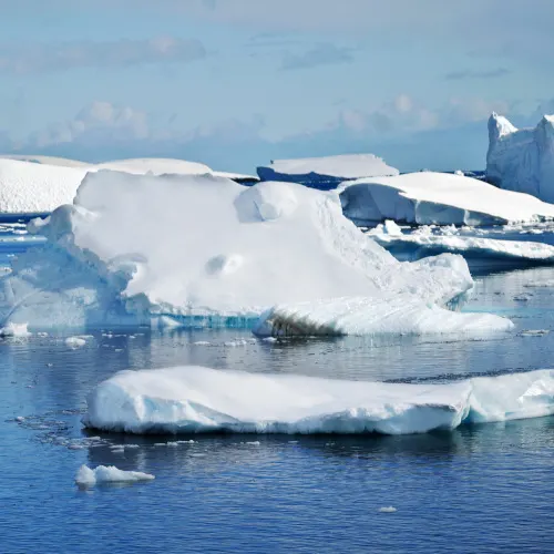 Cuverville Island isberg