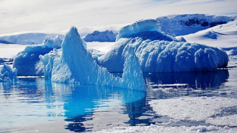 Epic antartica trip featured image