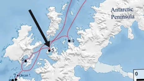 Cuverville Island map