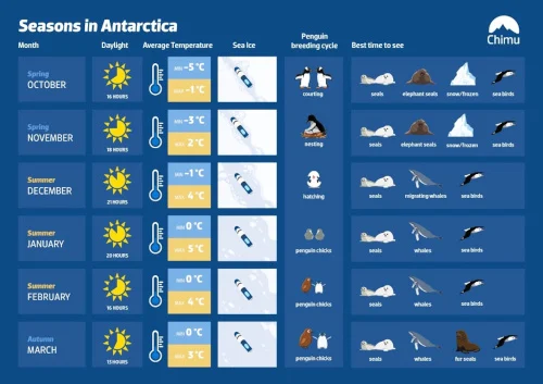 Antarctica trip, different seasons