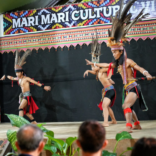 , Cultural dance performance