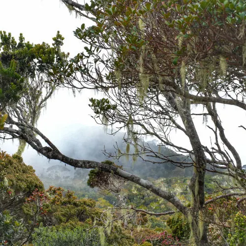 To Panalaban (127)-01 s, climb Mount Kinabalu