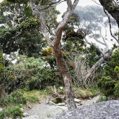 To Panalaban (128)-01 s, climb Mount Kinabalu