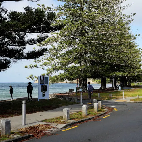 Browns Bay Beach (1)-01s, North Shore Beaches