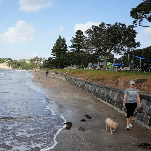 Browns Bay Beach (13)-01s, North Shore Beaches