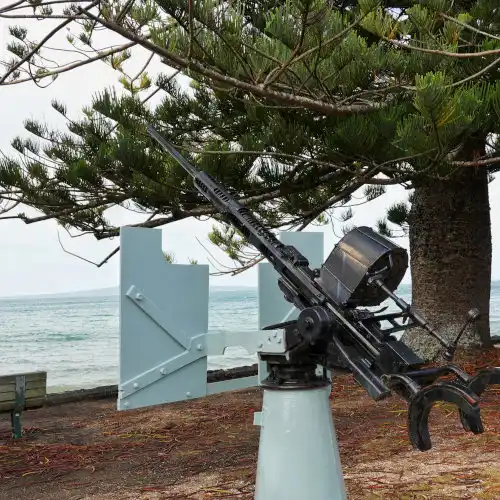 Browns Bay Beach (8)-01s