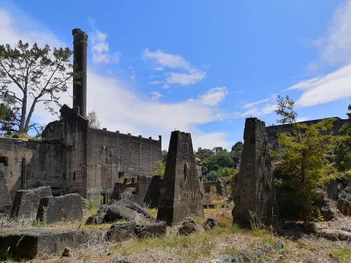 NZ Warkworth cement