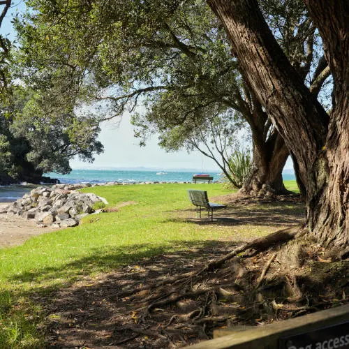 Waiaike Beach (18)-01s, North Shore Beaches