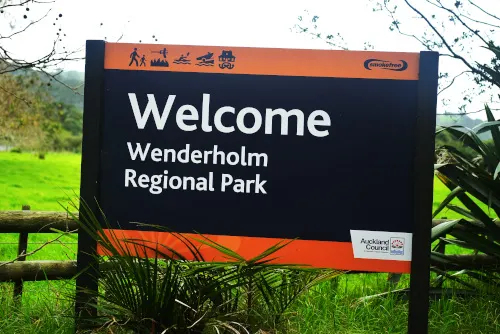 Wenderholm regional park (1)-01s