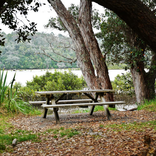 Wenderholm regional park (23)-01s