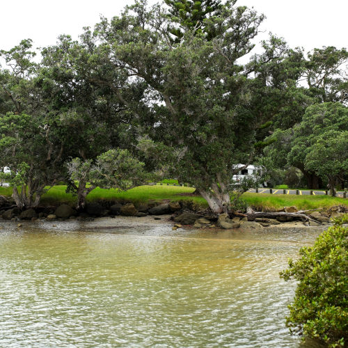 Wenderholm Te Akeake Path