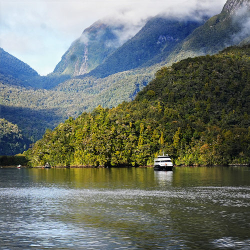 One of our New Zealand bucket list places to visit was Doubtful  Sound/Patea. We spent 2 nights aboard the @realnz Fiordland Navigator  and