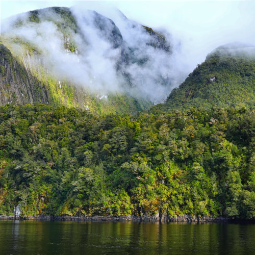 Doubtful Sound cruise- cruising the wilderness of Fiordland