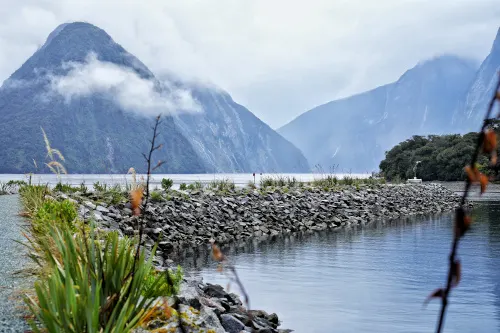 Milford Sound Cruise