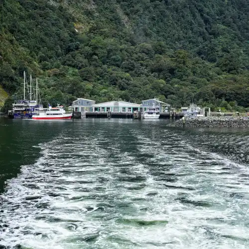 Milford Sound Cruise