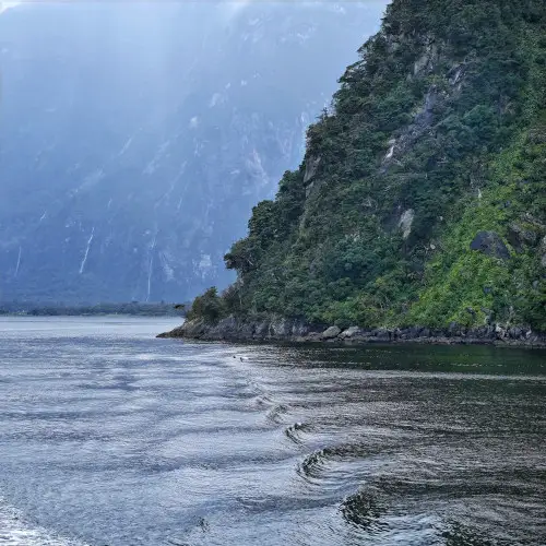 Milford Sound Cruise