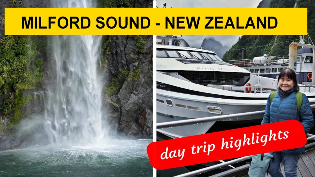 Milford Sound cruise featured image